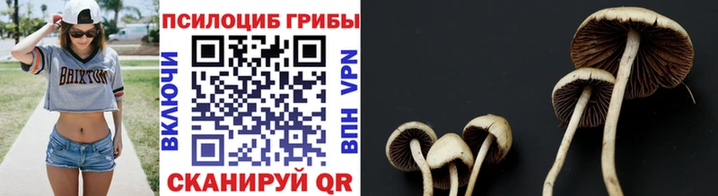Галлюциногенные грибы прущие грибы  купить   Судогда 